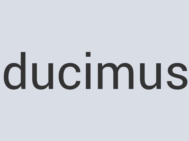 Aerodynamic Wooden Rare IT