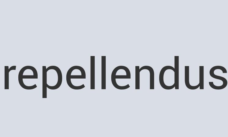 Rustic Paper Plank 10