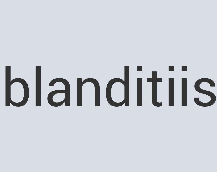 Practical Leather Knit and Caboodle