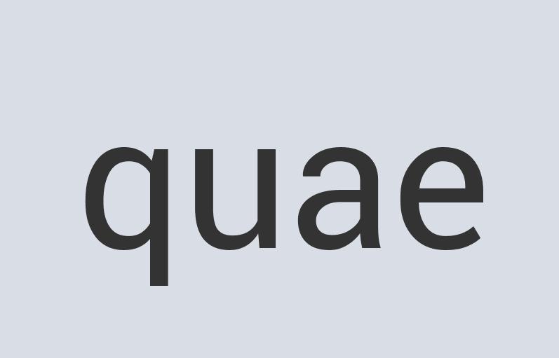 Ergonomic Rubber Snowpoke