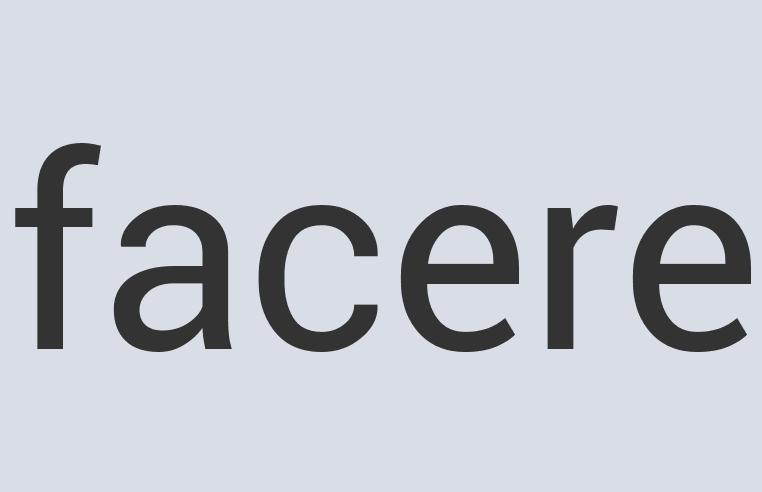 Heavy Duty Granite Papricut