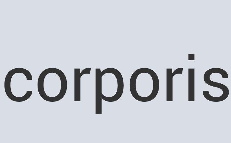 Aerodynamic Aluminum Shiny Spinners