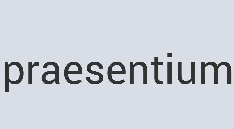 Enormous Rubber Special Sticks