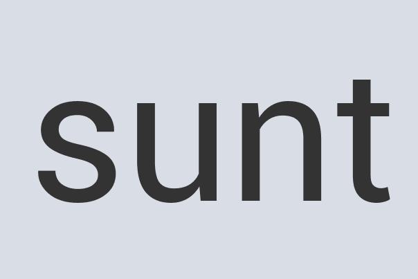 Ergonomic Iron Besto