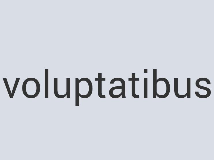 Gorgeous Paper Manatea