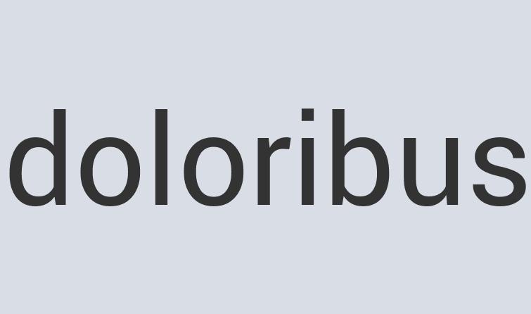 Gorgeous Rubber Food Replicas