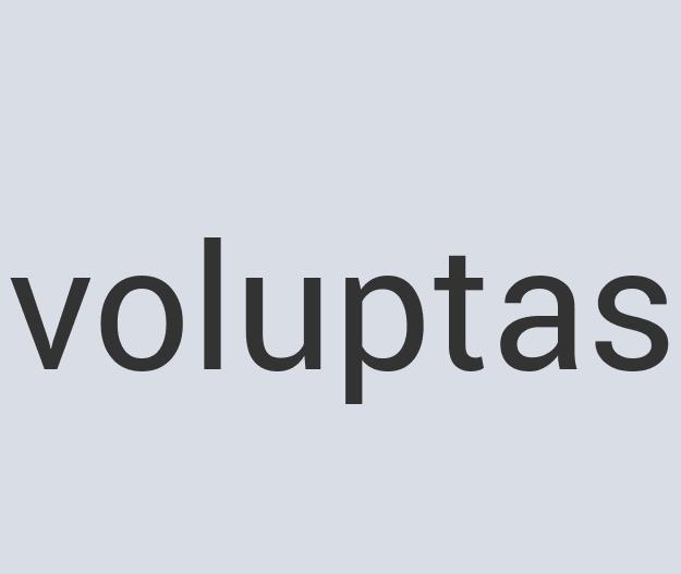 Heavy Duty Iron Quill Terminal